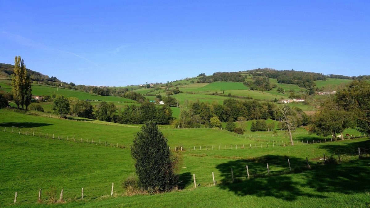 Crêt Saint-Pierre, l'un des "900" des monts du Lyonnais