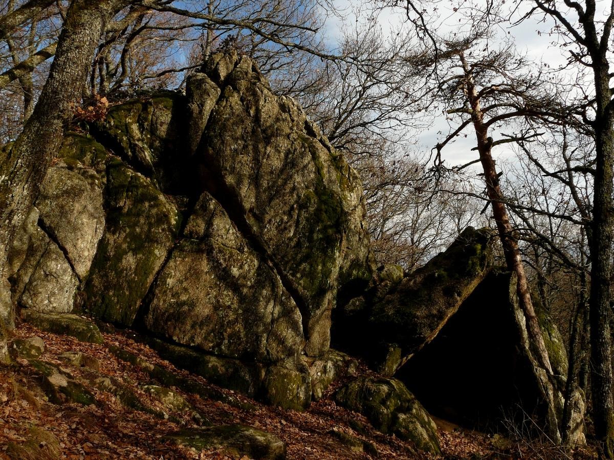 Des arbres et des rochers... Le Fontainebleau rhodanien
