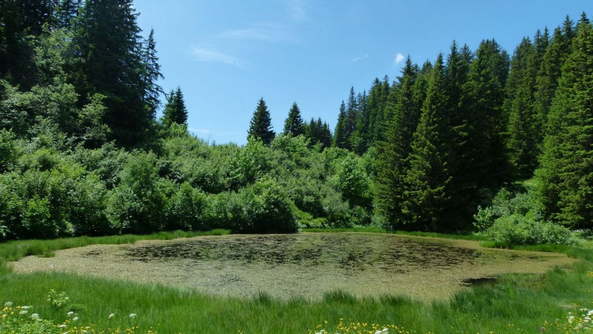 Le Lac du Gui (1720 m)