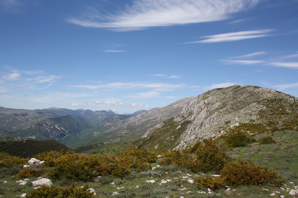 La vallée jusqu'à Gréolières, et le versant adret du Cheiron 