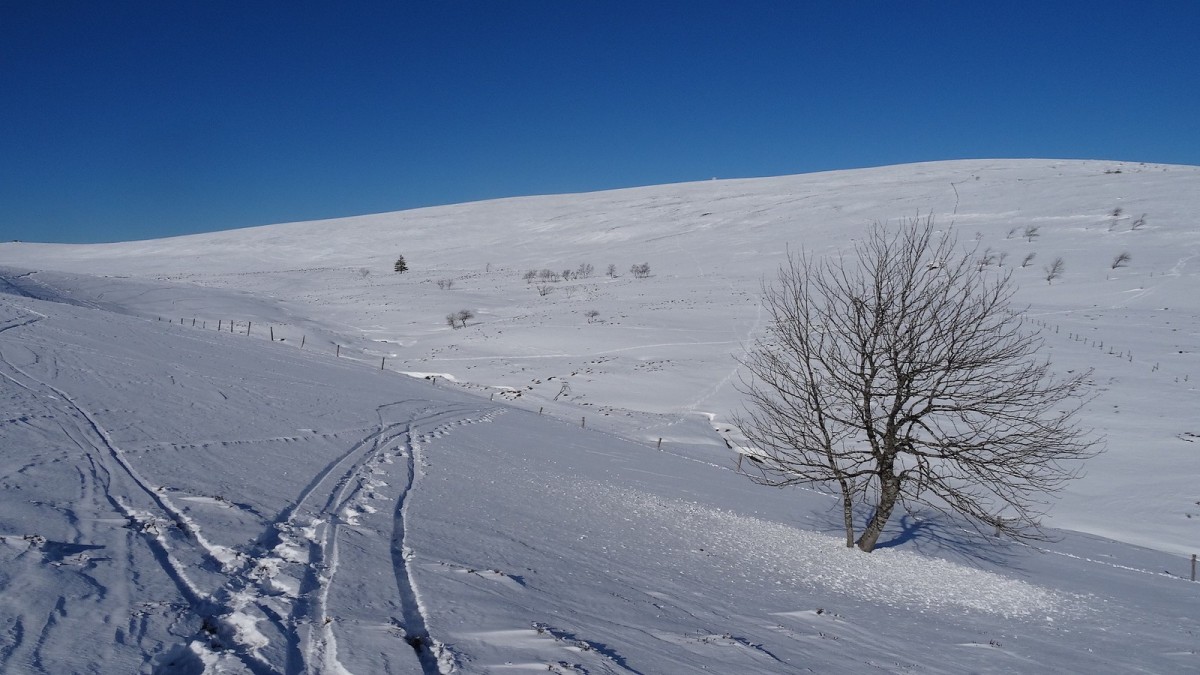 Neige blanche dans le vallon de Pierre Brune.