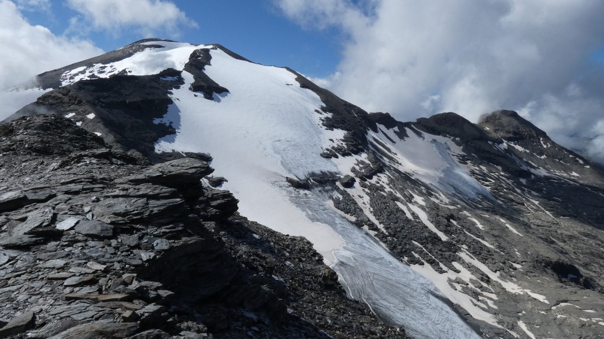 La Pointe de Ronce (3612m) et le Glacier de l'Arcelle Neuve, depuis le sommet des Pointes des Pignes