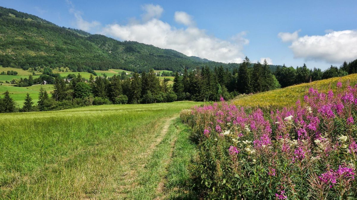 En avant pour le vallon du Bruyant