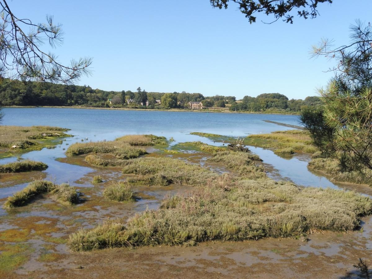 Vasière de Kerdaniel, en remontant la rivière d'Auray