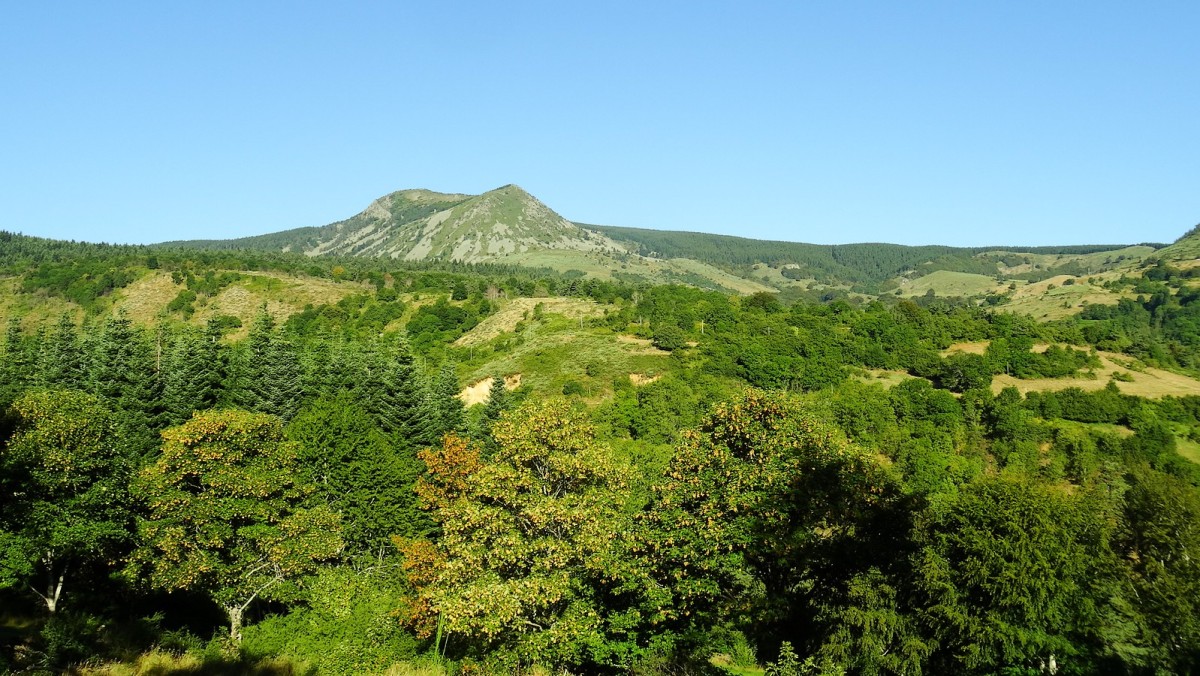 Vers le Mont Mézenc.