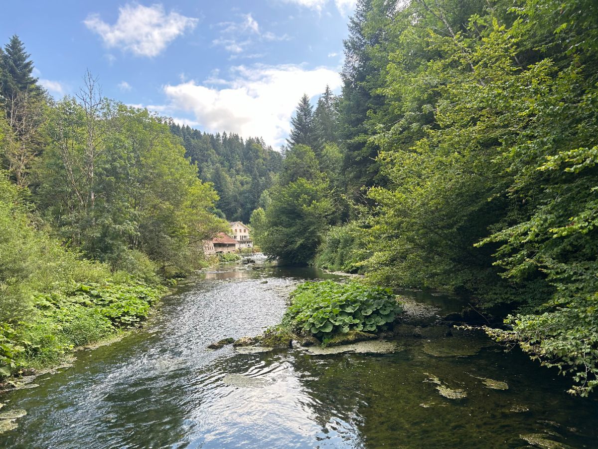 Au milieu coule une rivière...