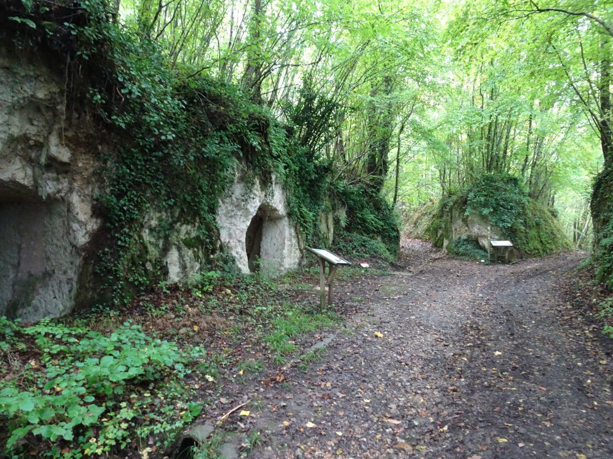 Les Caves de Mareuil-sur-Cher