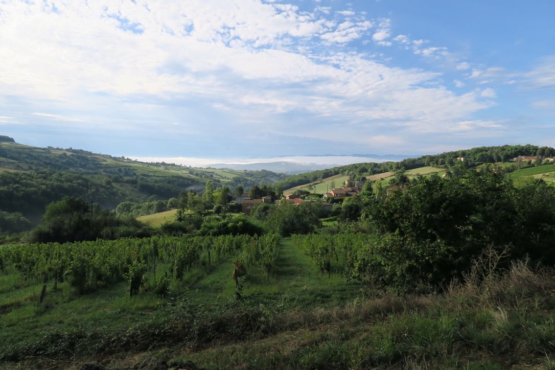 Le Layet d'En Bas sur fond de Monts du Lyonnais