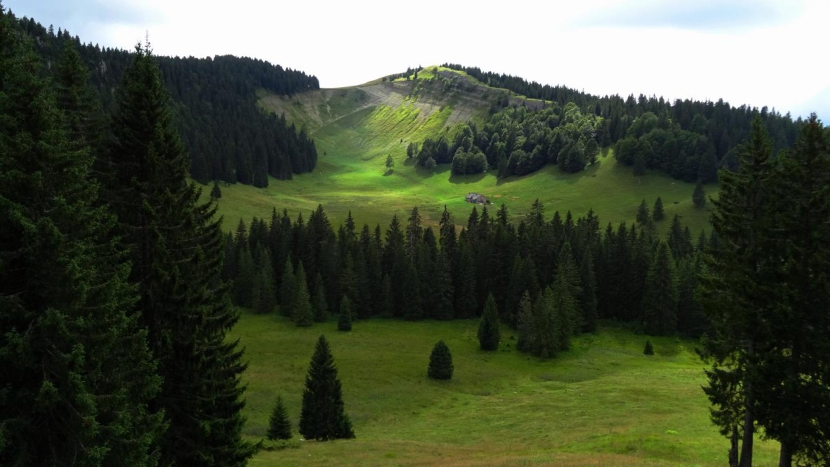 Une combe verdoyante dans le Jura suisse