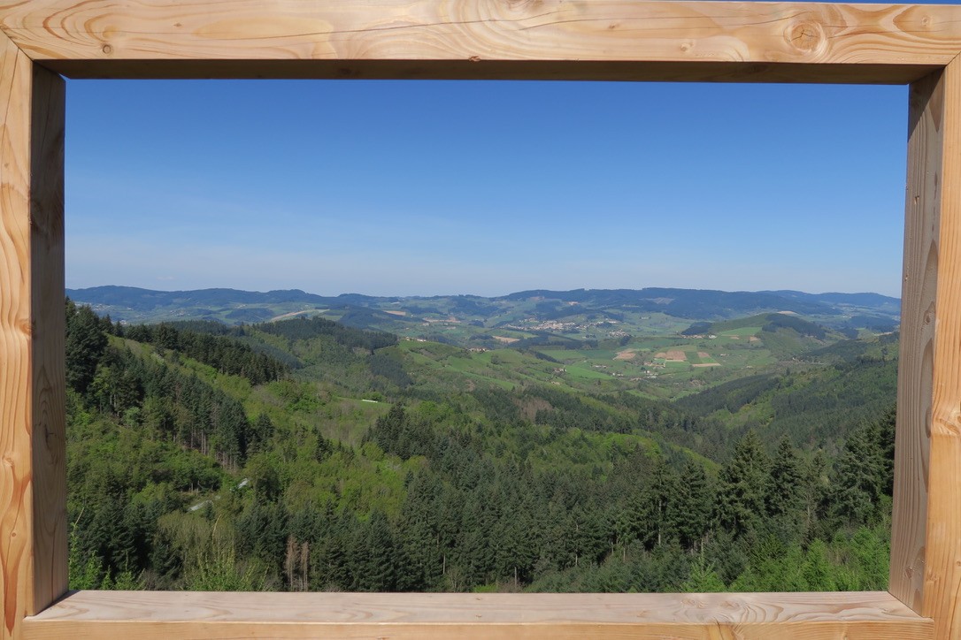 Un cadre naturel pour une vue sur Grandris et la Vallée de l'Azergues !