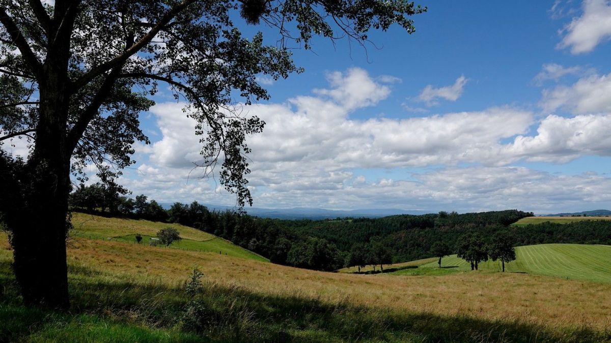 Vers le val du Volvon, les Bois Noirs et les monts de la Madeleine