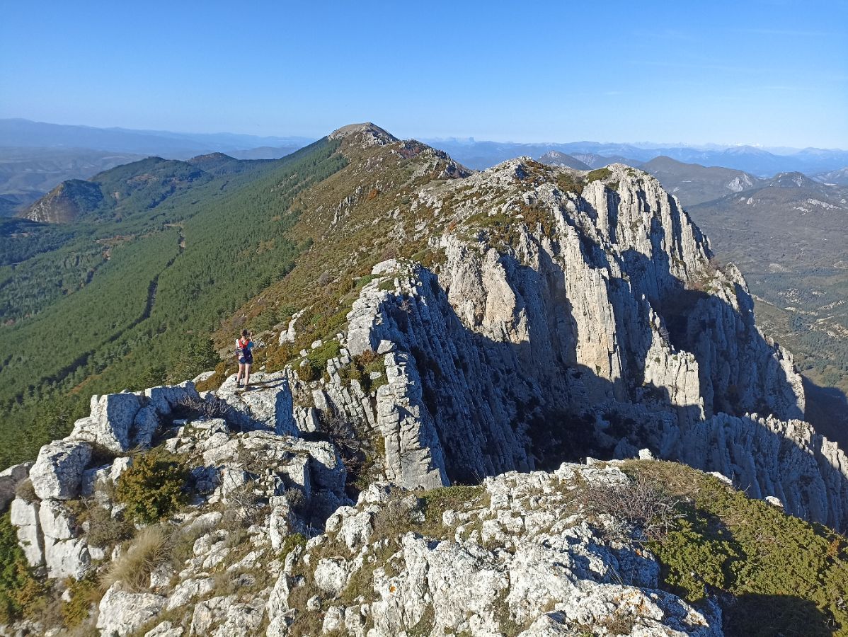 Les crêtes du Montdenier, dans le rétro