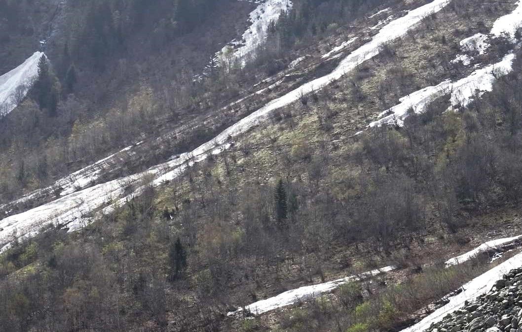 Le sentier espéré, mais complètement raté cette fois !