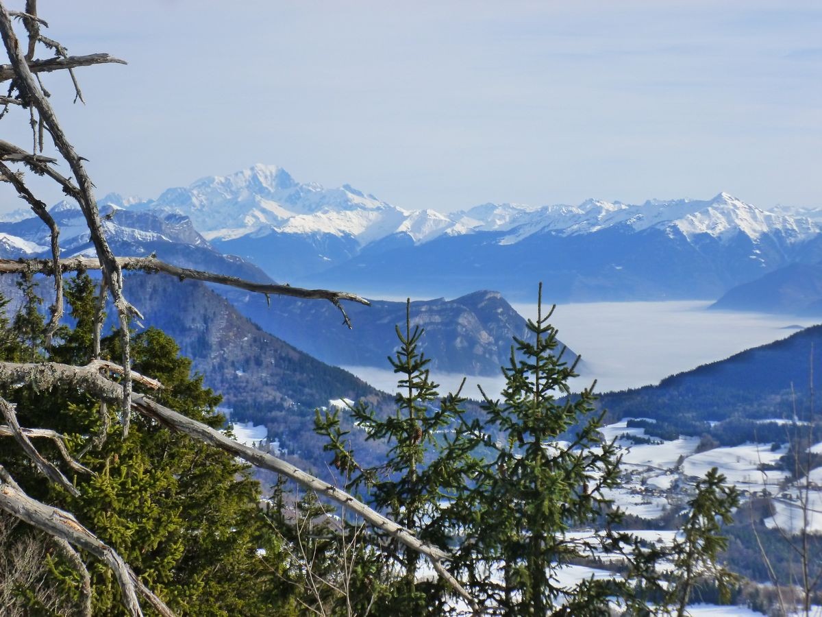 Le Mont Blanc, la Savoyarde, le col du Granier vus du sommet