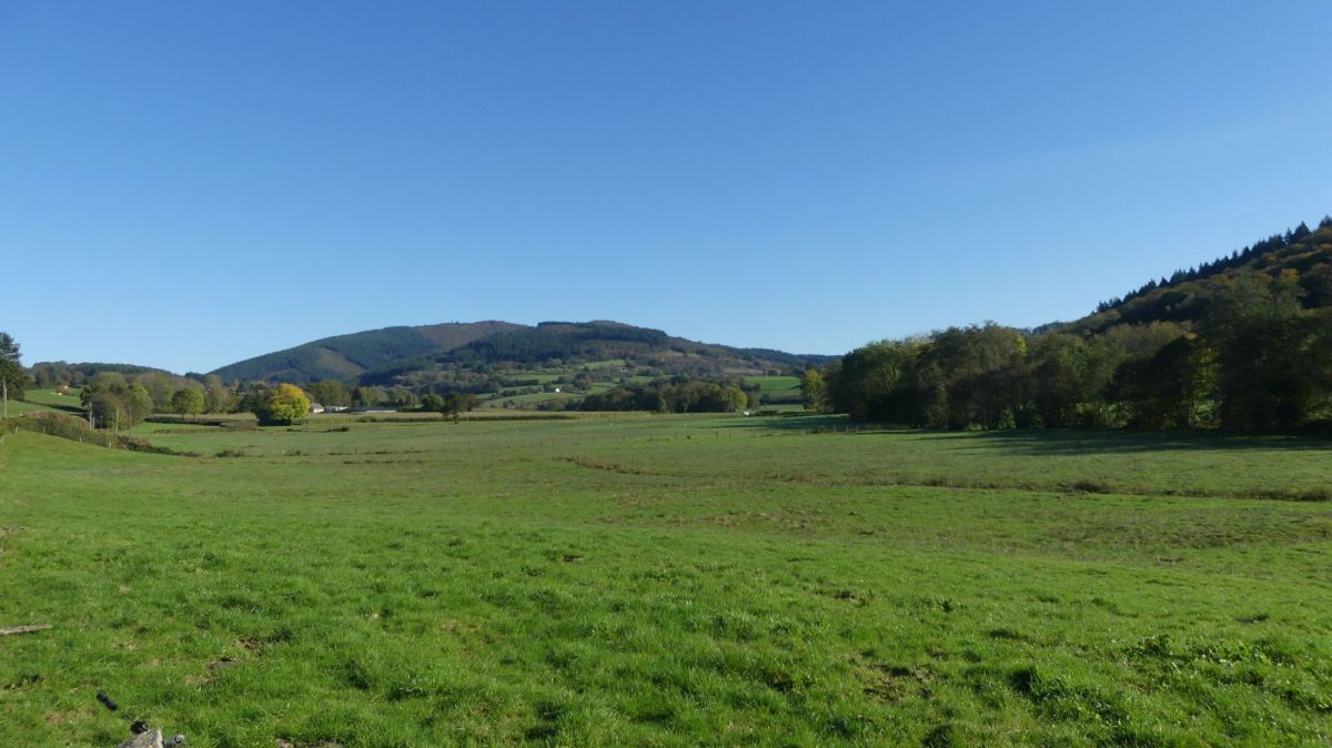 Le mont Beuvray est le sommet emblématique du Morvan.