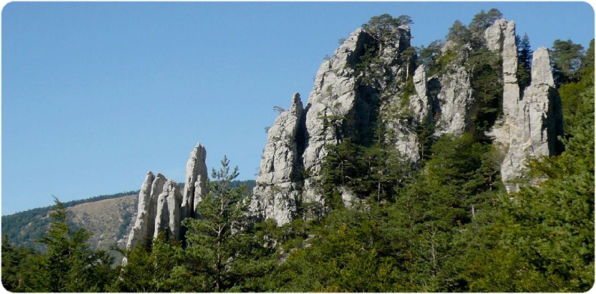 Les lames de calcaire des Sucettes de Borne du Gué.