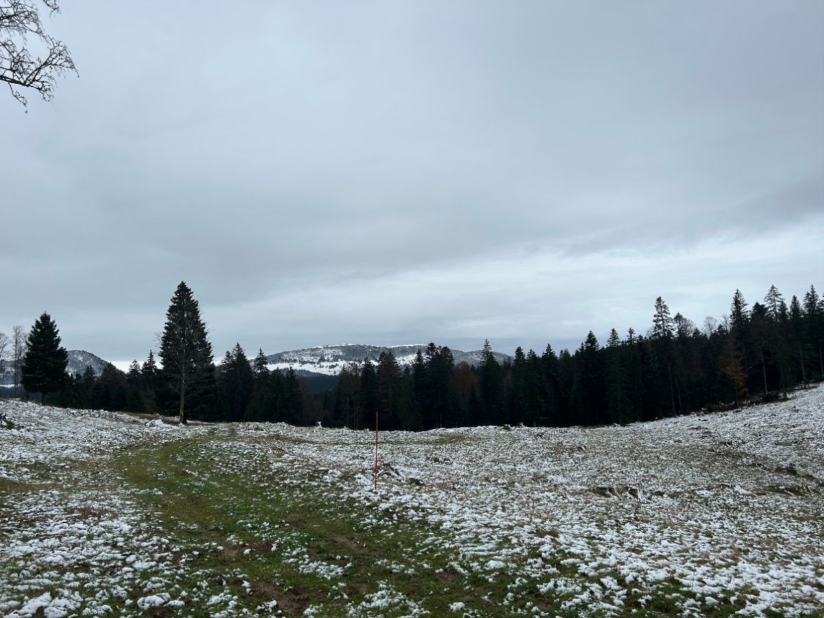 Le Mont de l'Herba, avant-poste français de la Haute Chaîne du Jura suisse (Aiguilles de Baulmes à gauche et Suchet à droite)