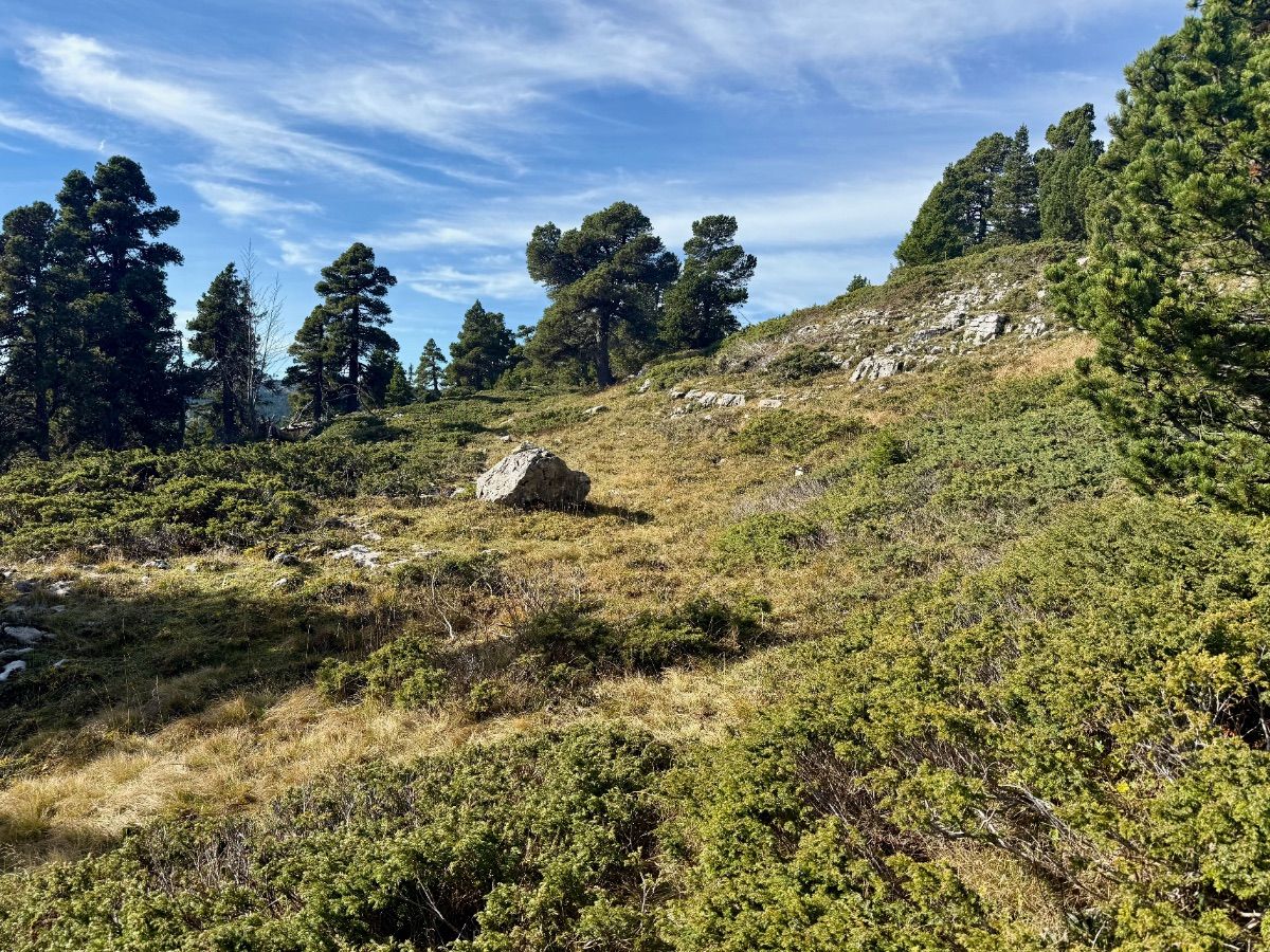 Sur l'épaulement est de montée