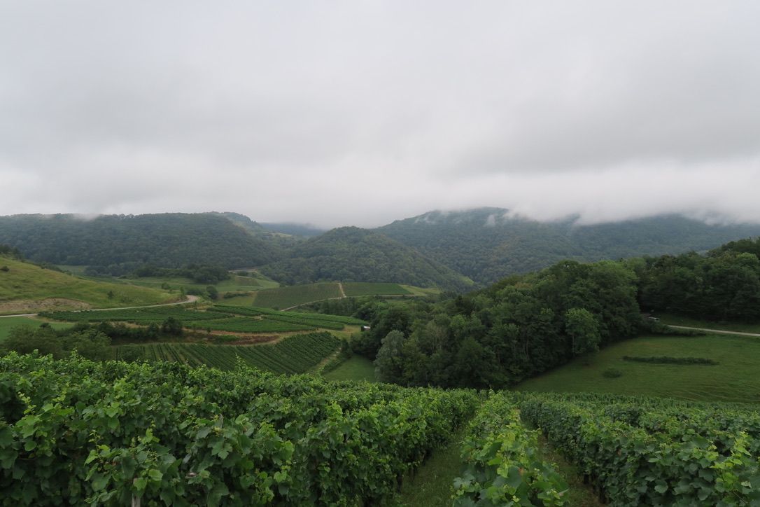 Les coteaux de Poncieux