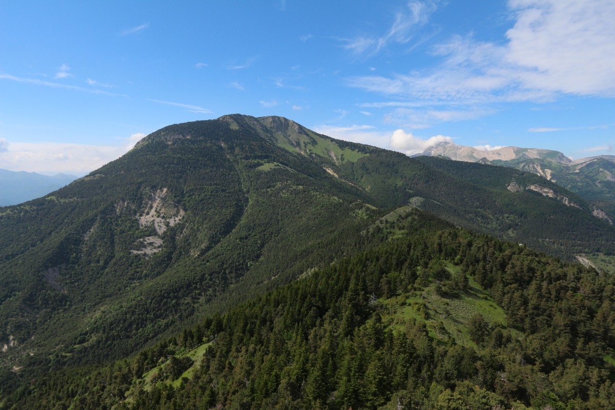 Montagne Durbonas, vue de l'Aup.