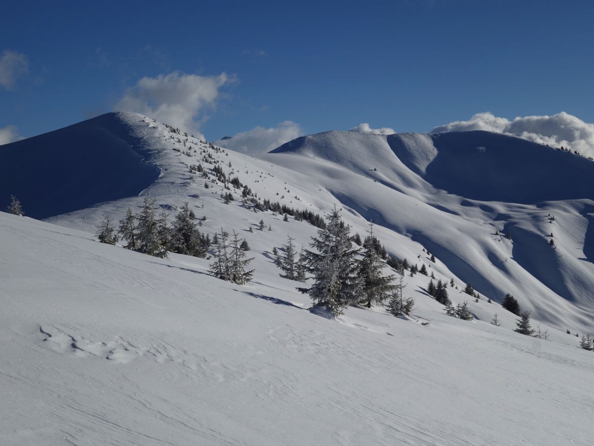 Crêtes débonnaires avec vue...