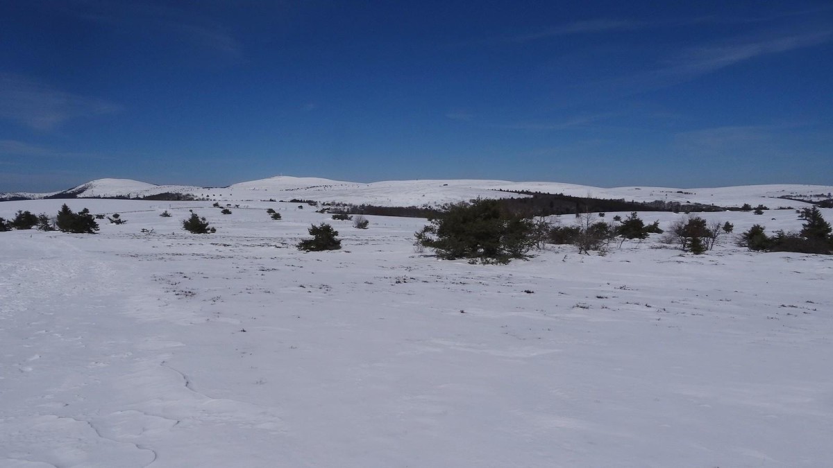 Neige tardive dans les monts du Forez.