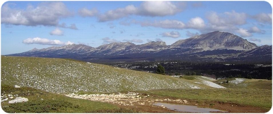 Les Hauts-Plateaux