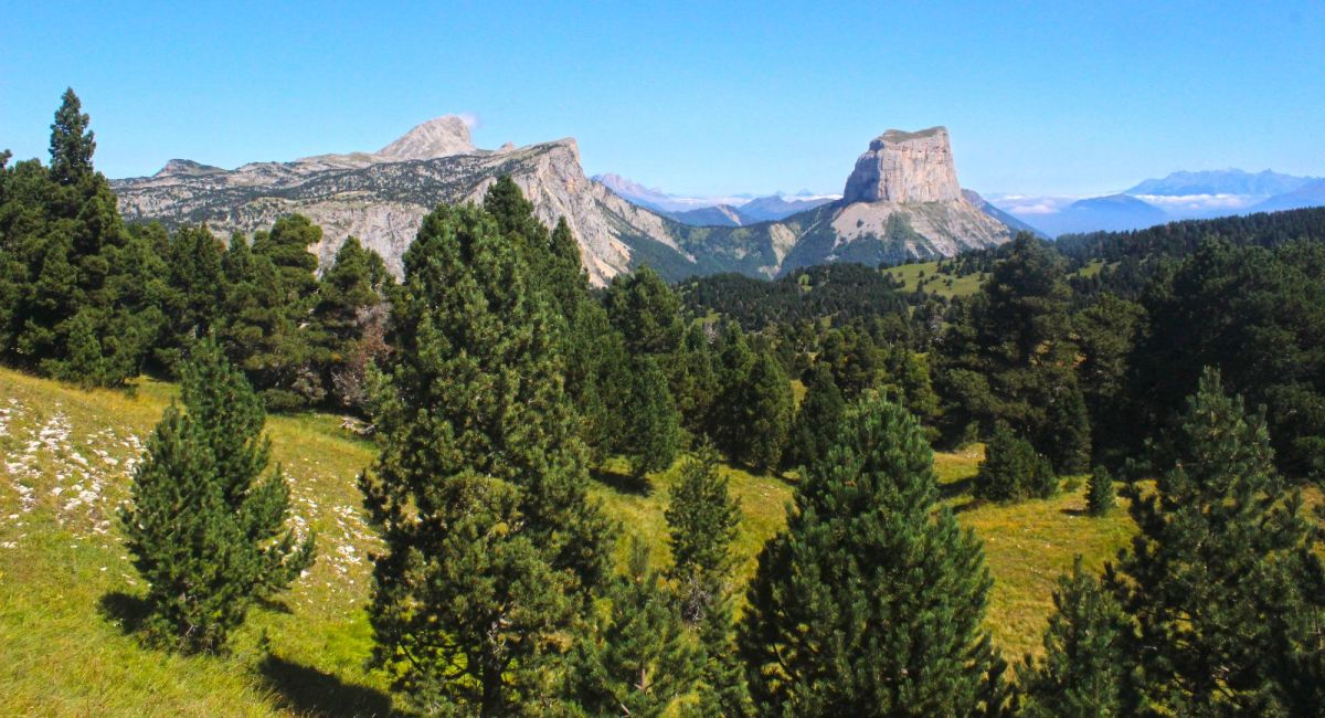 Beauté sauvage des hauts plateaux