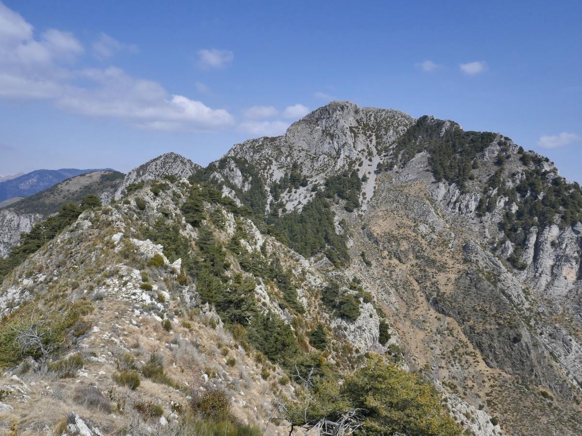 Muraille du Brec depuis la crête de l'Escandolier