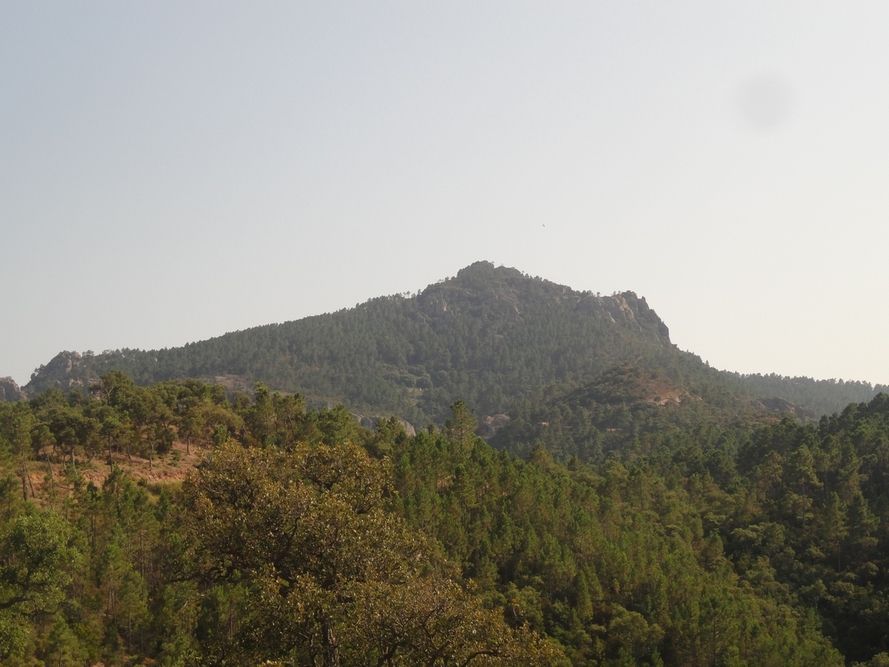 Le sommet Pelet vu de la piste des Oeufs de Bouc en direction du Sud