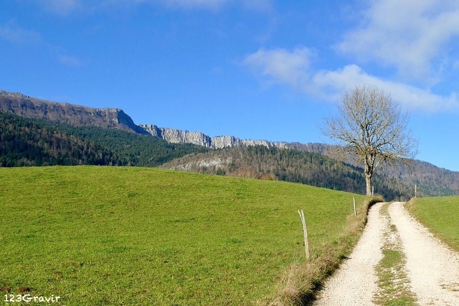 La Crête du Mont d'Or depuis les hauteurs du Sentier historique