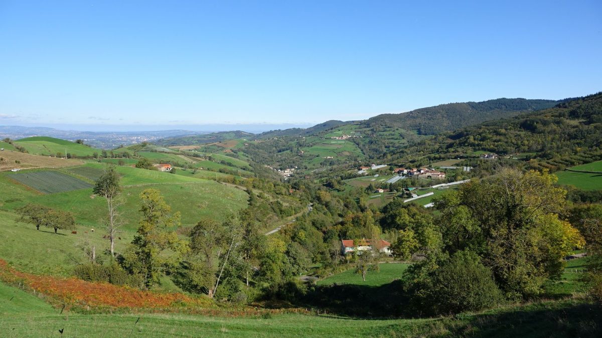 Vallée de Courzieu.