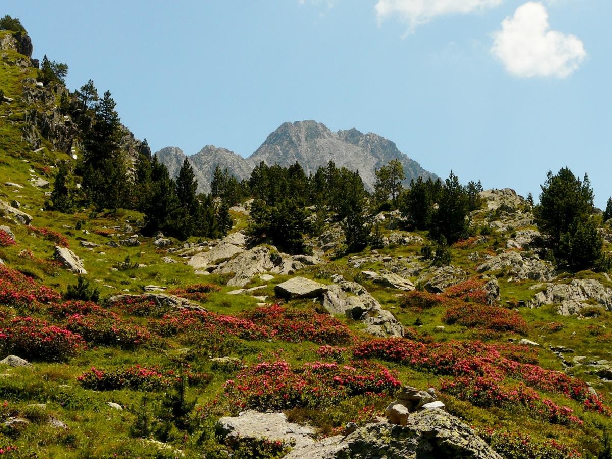 Le Puig Carlit, point culminant des Pyrénées-Orientales
