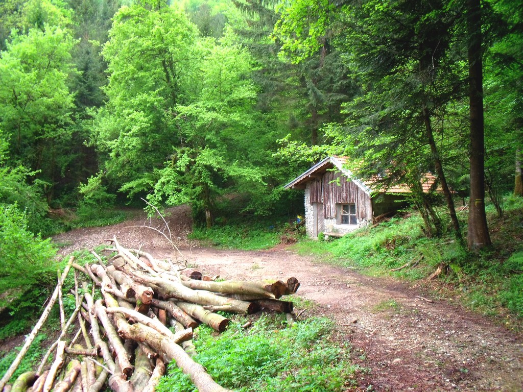 Cabane de chasseurs à l'orée du bois.