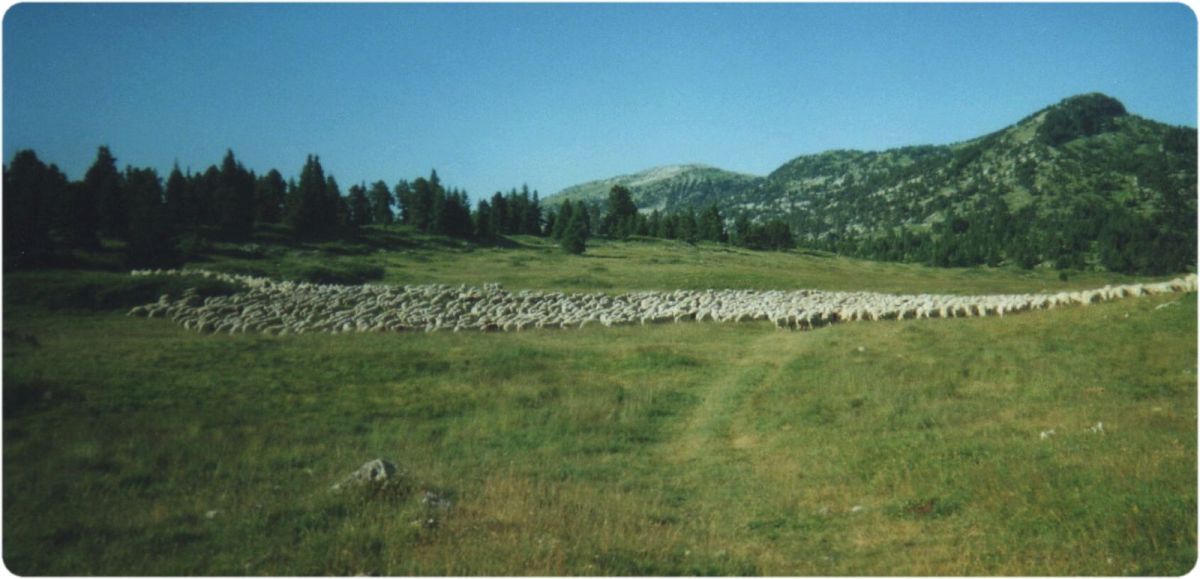 Sur le GR.91 traversée des hauts plateaux.