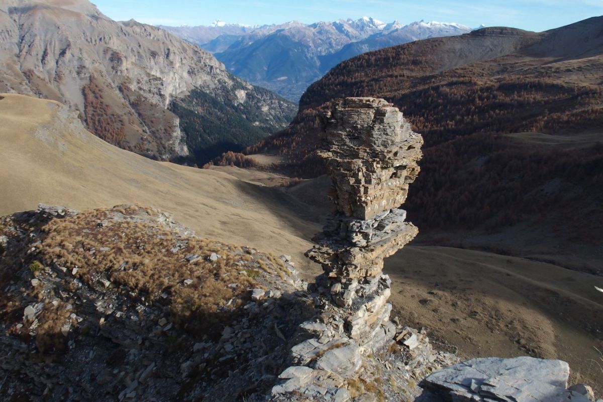 Champignon sur la crête de Méan