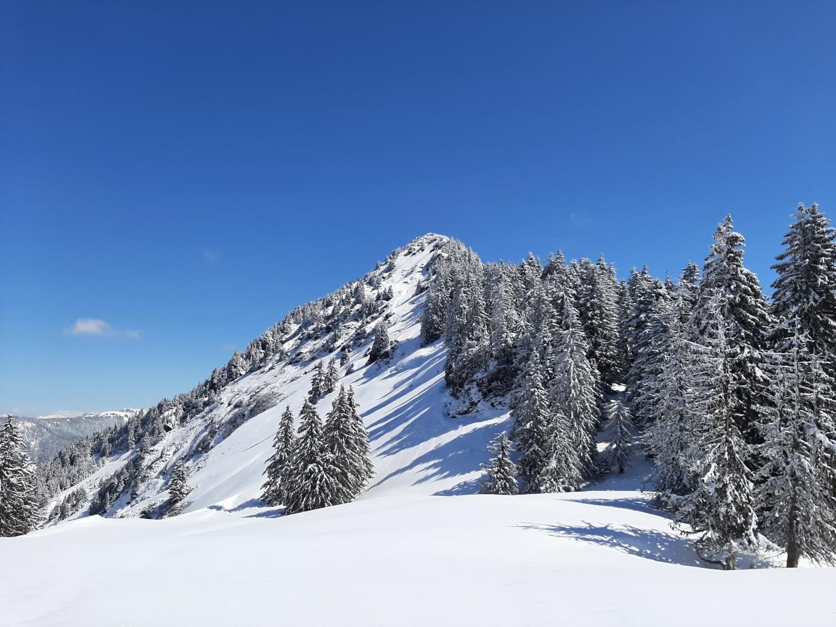 Le sommet enneigé de la Roche Pourrie, un paysage féérique !