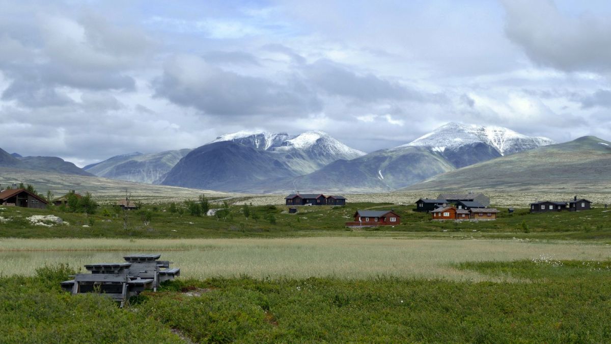 Paysage caractéristique du Parc de Rondane.