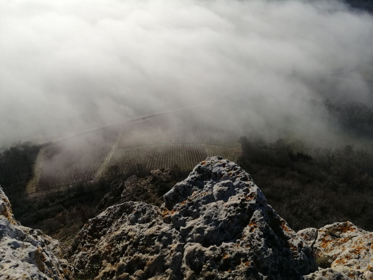 Depuis la Roche de Solutré