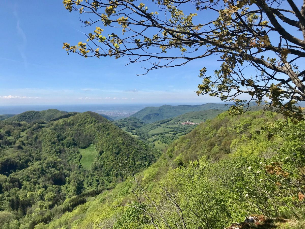 Secteur du Golet d'Ars : vue sur les hauteurs autour de Cleysieu