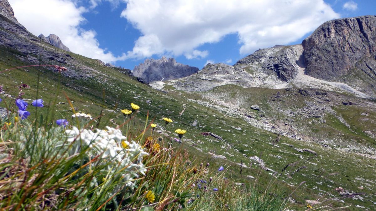 La marche nettoie la cervelle et rend gai (Samivel)