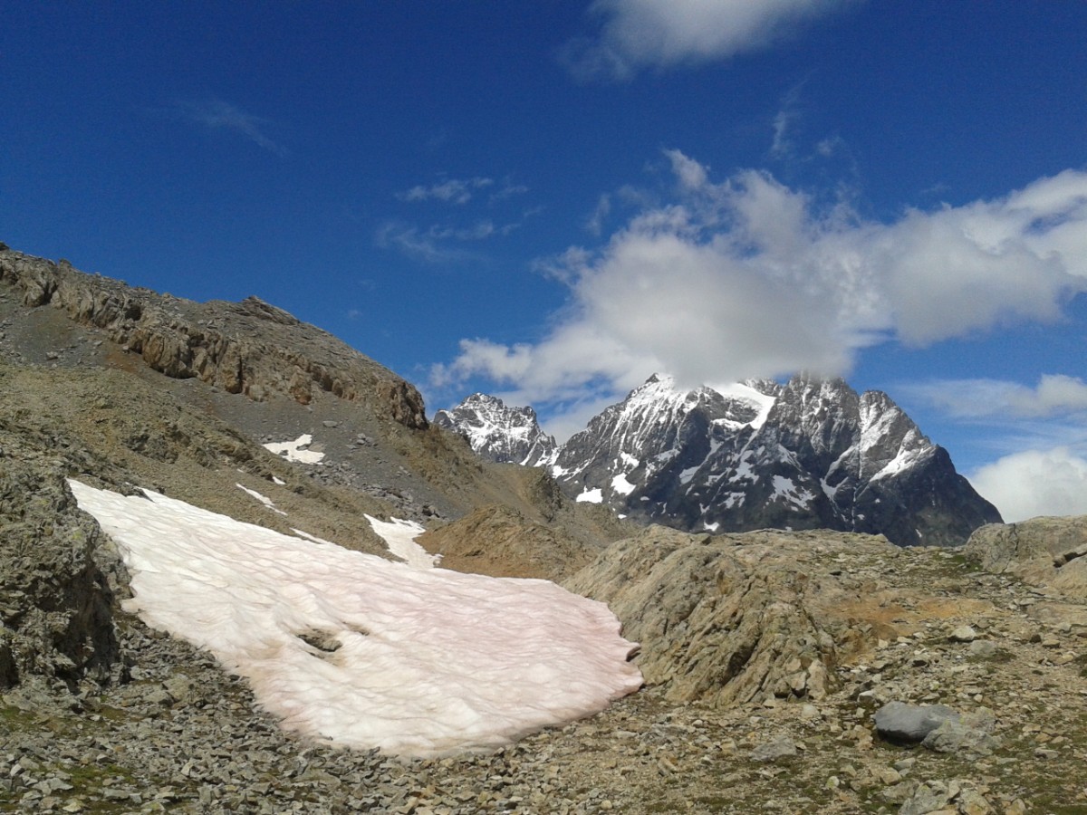 Le sommet enneigé du Pelvoux (3946m), en contrebas de la Blanche: L'un des multiples sommets à admirer au cours de cette rando.