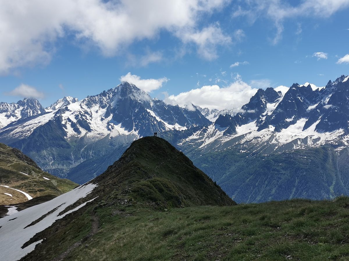 Face à face majestueux