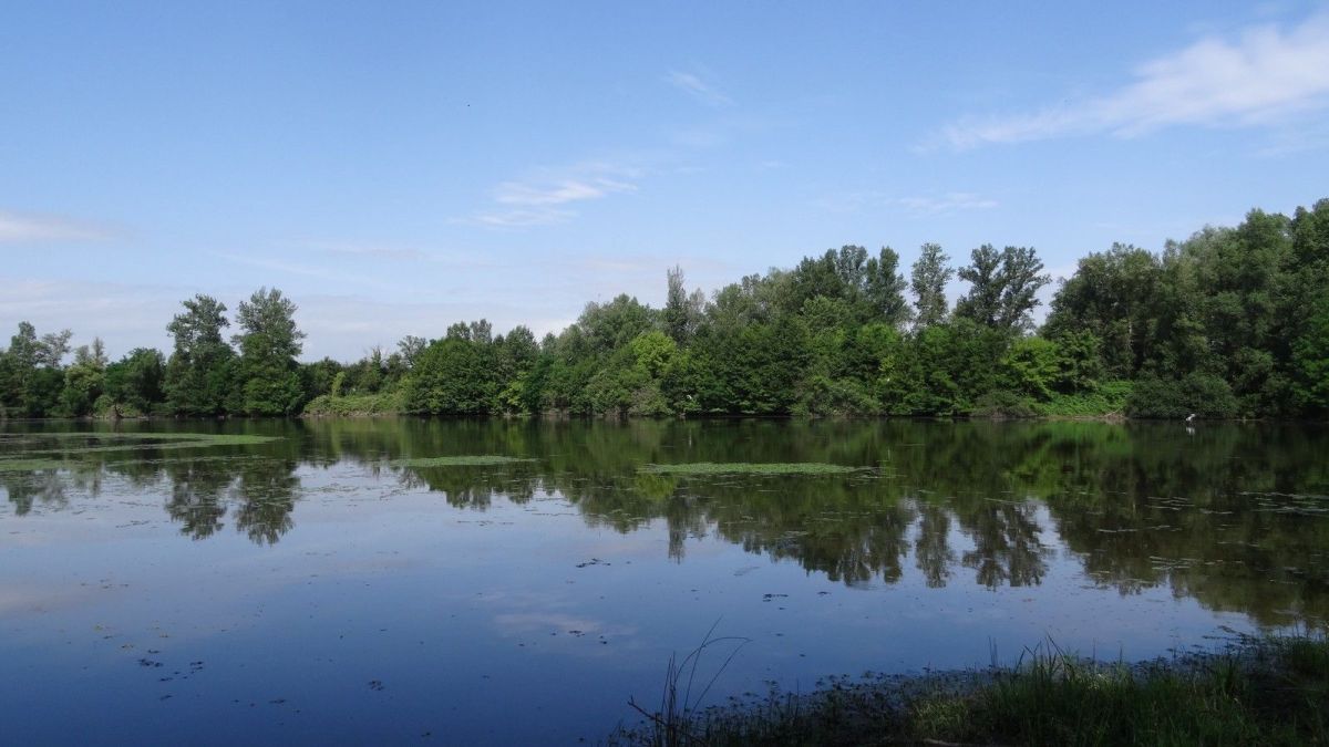 L'étang sans nom n'est séparé de la Loire que par un mince cordon de terre