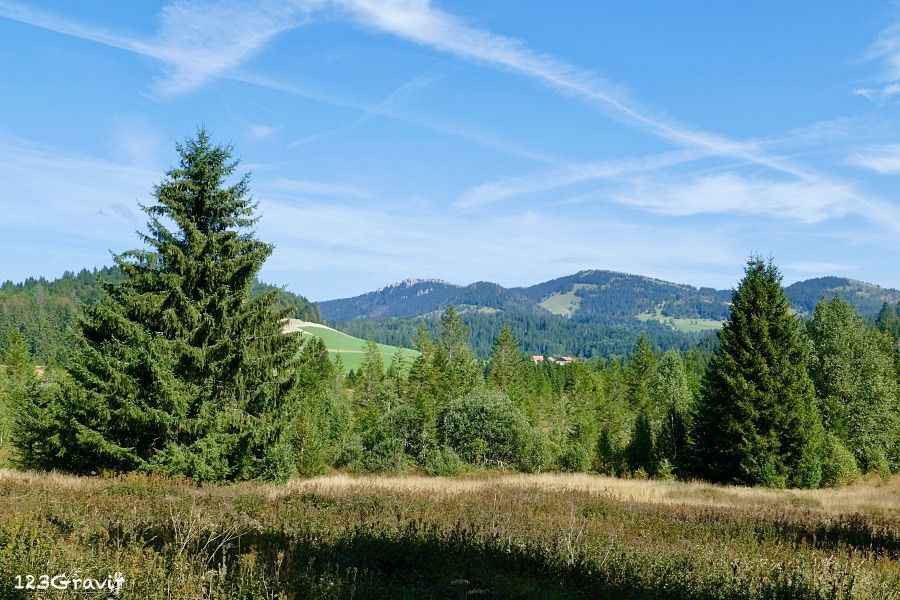 Tourbière de Vraconnaz sur fond de sommets vaudois