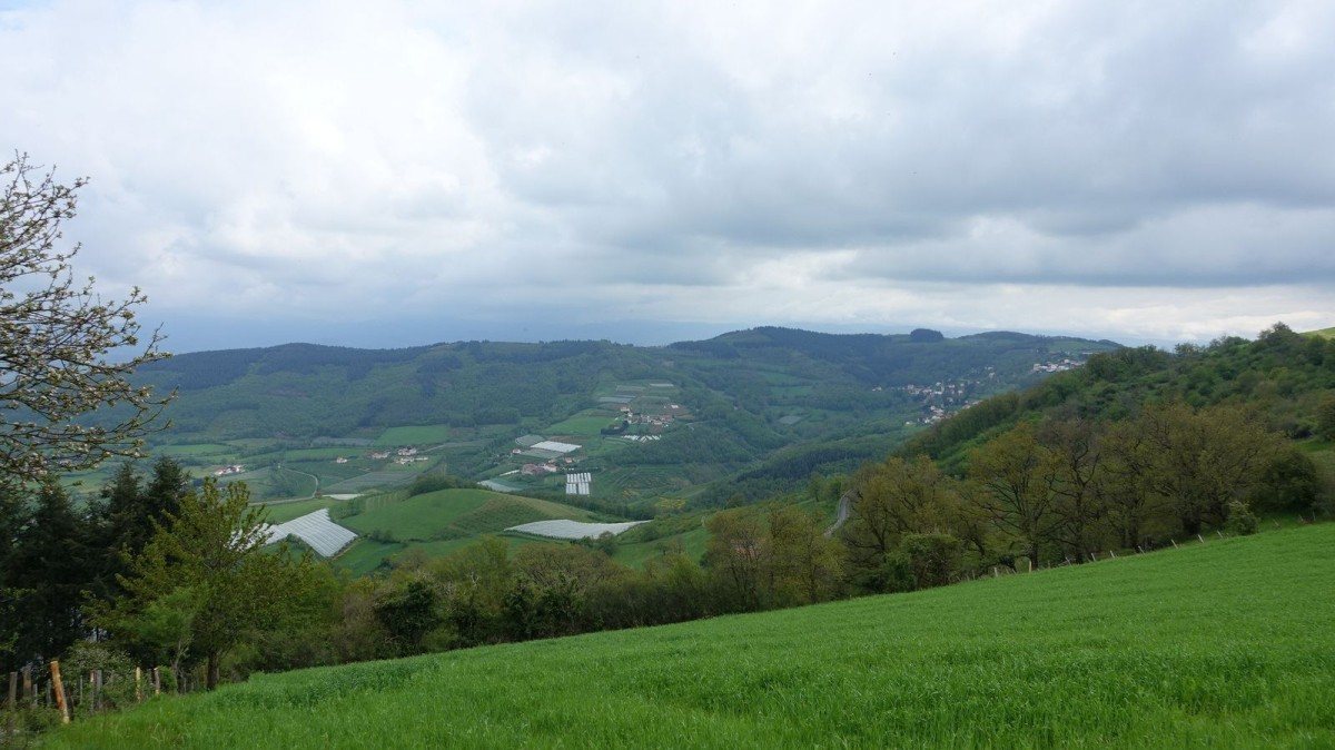 Vallée de la Durèze.