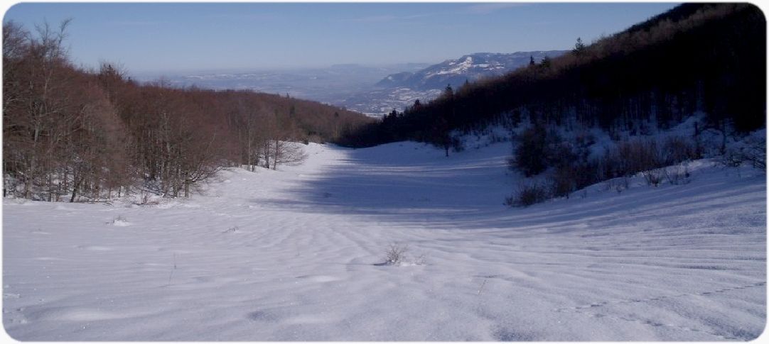 Haut de la Combe de la Couleyre.