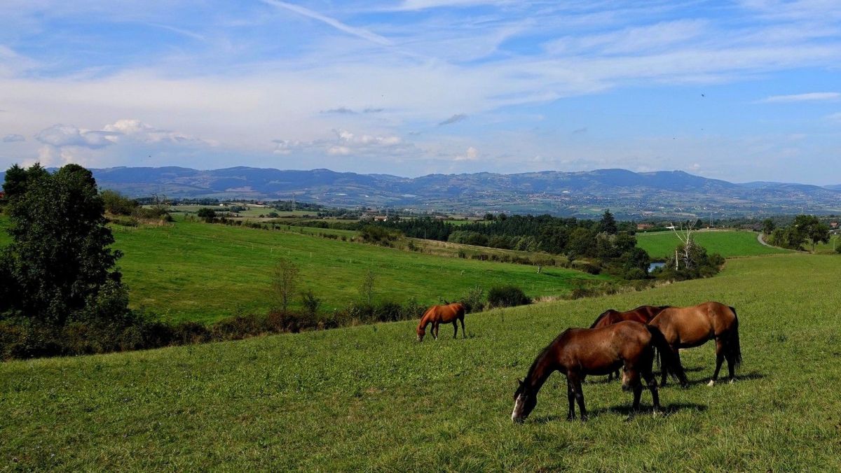 Vers les monts du Lyonnais, par-delà la vallée du Gier