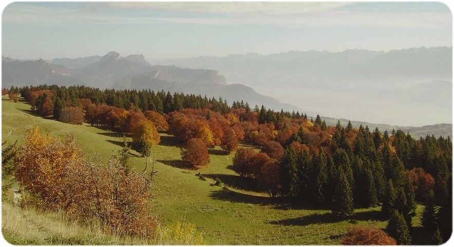 Couleurs d'automne sur le Plateau de la Molière.