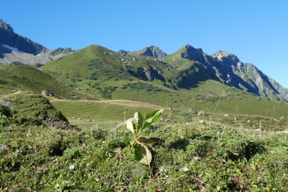 Cette longue crête est-elle possible ?